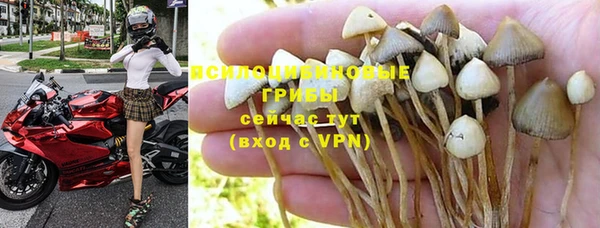 винт Кулебаки